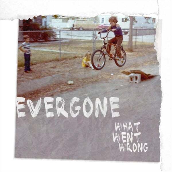 Cover art for What Went Wrong